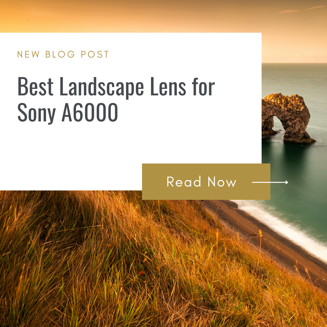 Best Landscape Lens for Sony A6000