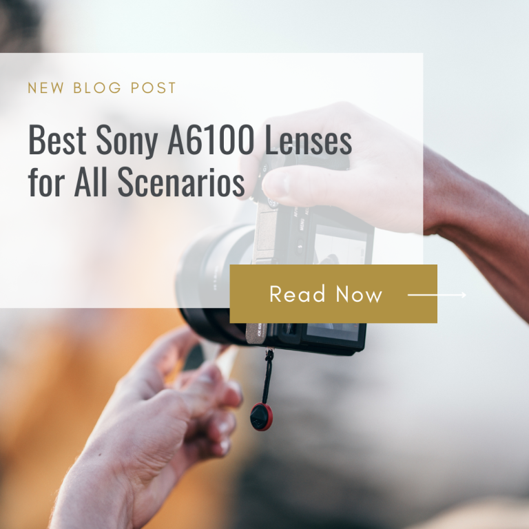 Sony A6100 Best Lenses
